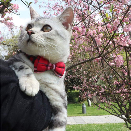 Cat Collar Breakaway with Bell and Bow Tie, Plaid Design Adjustable Safety Kitty Kitten Collars Set of 2 Pcs(6.8 - 10.8In) (Red&Blue Plaid) - FurrrBabies & More! - 705353354946