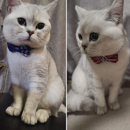 Cat Collar Breakaway with Bell and Bow Tie, Plaid Design Adjustable Safety Kitty Kitten Collars Set of 2 Pcs(6.8 - 10.8In) (Red&Blue Plaid) - FurrrBabies & More! - 705353354946