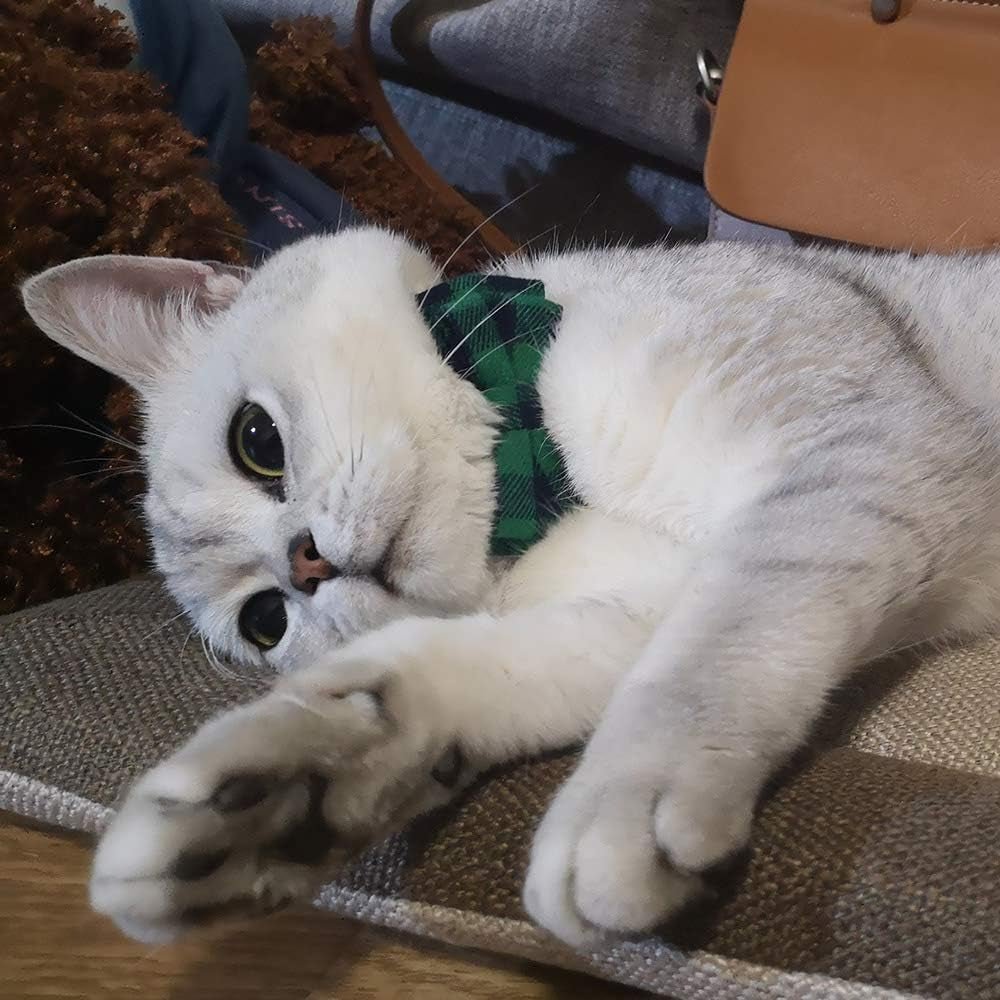 Cat Collar Breakaway with Bell and Bow Tie, Plaid Design Adjustable Safety Kitty Kitten Collars(6.8 - 10.8In) (Green Plaid) - FurrrBabies & More! - 7445010955965