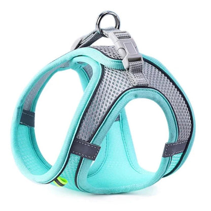 Cat Dog Harness Vest Chest Rope Set Reflective Breathable Adjustable Pet Harness for Small Medium Dogs Outdoor Walking - FurrrBabies & More! - 744110529012