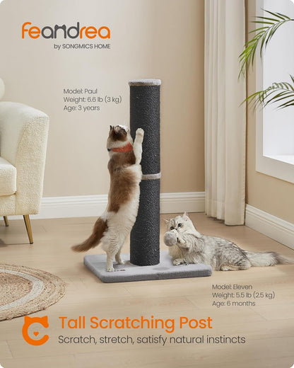 Cat Scratching Post Sisal - FurrrBabies & More! - 7445016762789