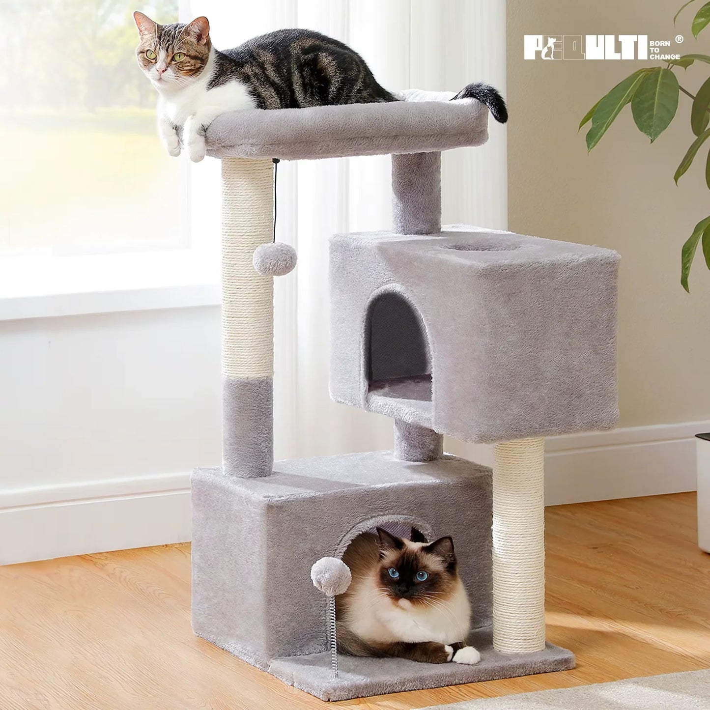 Cat Tree for Large Cats Cat Tower for Indoor - FurrrBabies & More! - 