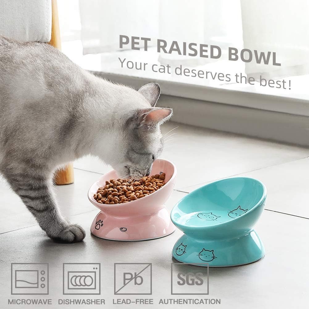 Ceramic Raised Cat Bowls, Slanted Cat Dish Food or Water Bowls, Elevated Porcelain Pet Feeder Bowl Protect Cat'S Spine, Stress Free, Backflow Prevention (Pink) - FurrrBabies & More! - 313109778719