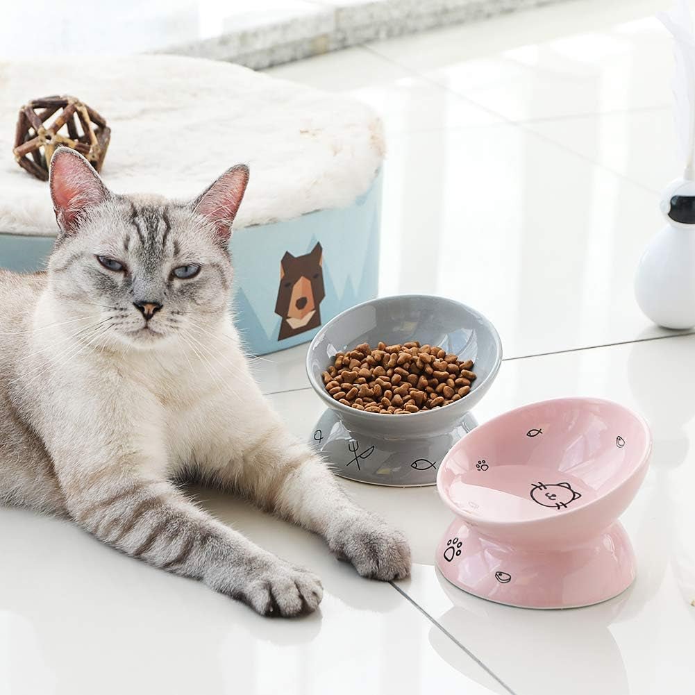 Ceramic Raised Cat Bowls, Slanted Cat Dish Food or Water Bowls, Elevated Porcelain Pet Feeder Bowl Protect Cat'S Spine, Stress Free, Backflow Prevention (Pink) - FurrrBabies & More! - 313109778719