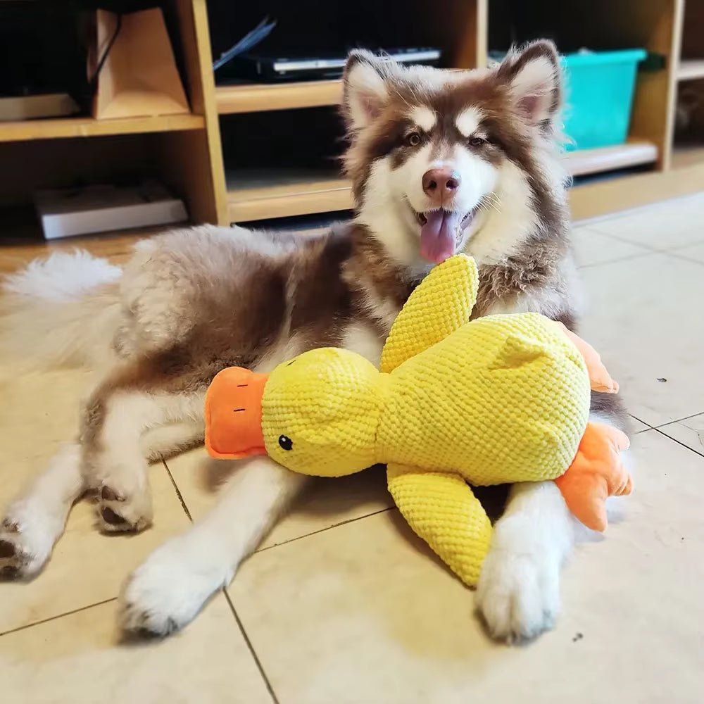 ChewPal CuddleBuddy – Plush Squeaky Toy for Happy, Healthy Pets - FurrrBabies & More! - 7445000122148