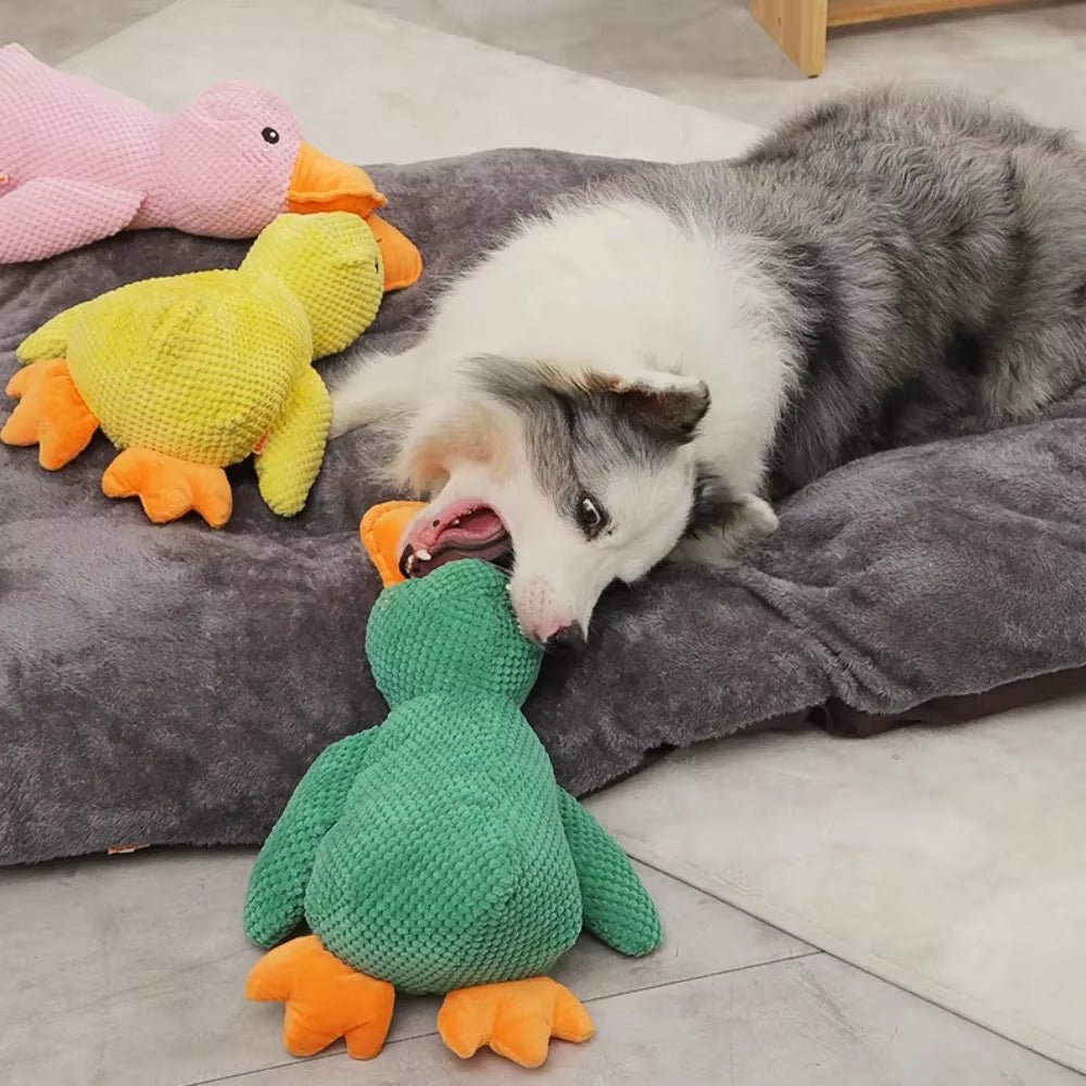 ChewPal CuddleBuddy – Plush Squeaky Toy for Happy, Healthy Pets - FurrrBabies & More! - 7445000122148