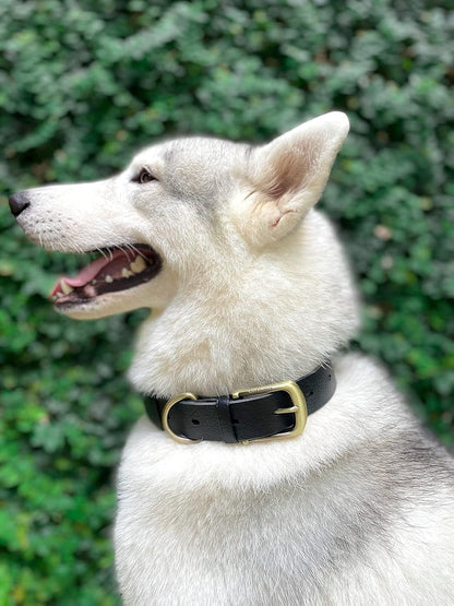 Classic Heavy Duty Dog Collar | 10X Stronger than Leather | 100% Waterproof & Odor Proof Dog Collar | Tough Rust - Proof All Metal Hardware - FurrrBabies & More! - 705353742149