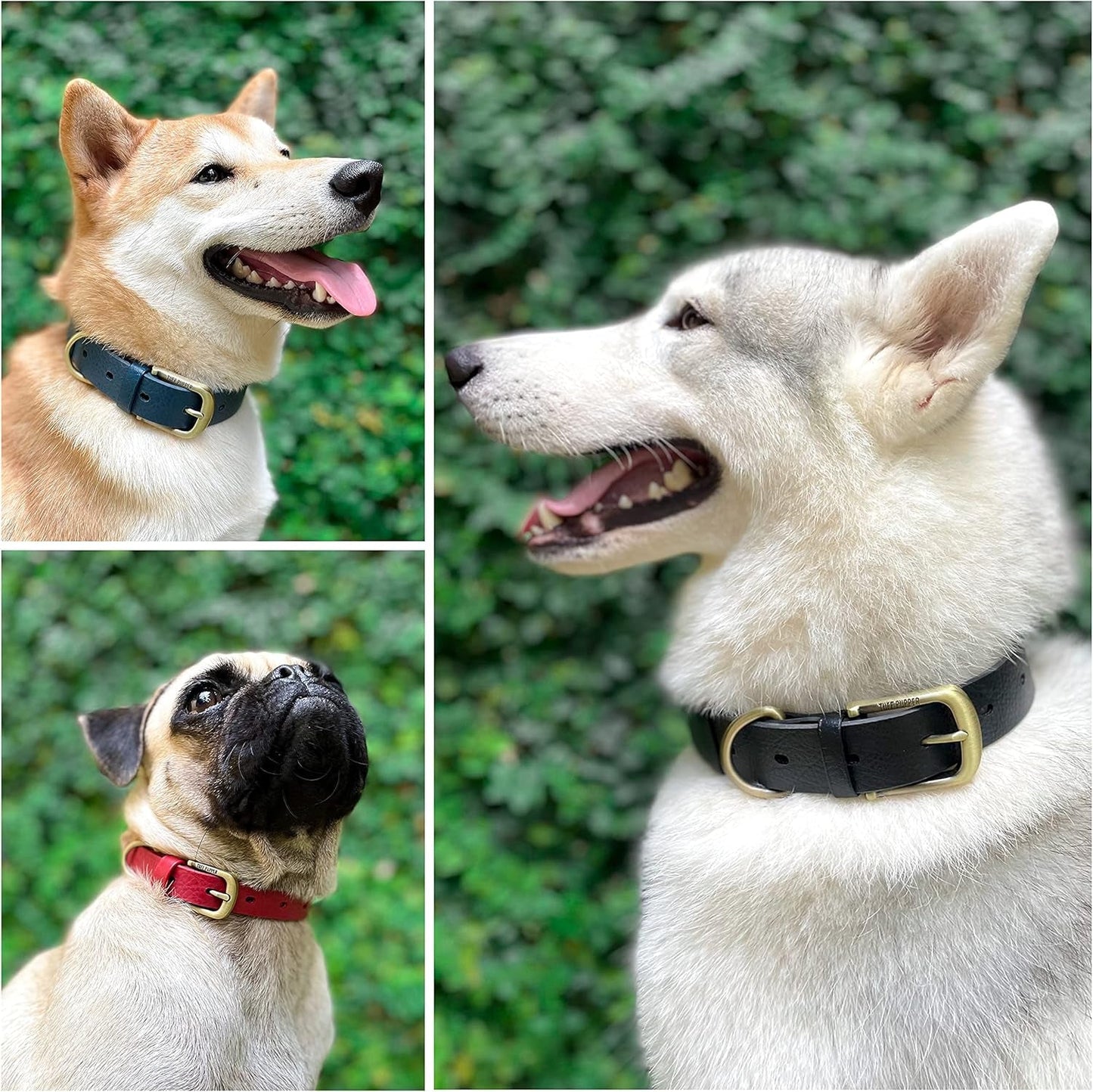 Classic Heavy Duty Dog Collar | 10X Stronger than Leather | 100% Waterproof & Odor Proof Dog Collar | Tough Rust - Proof All Metal Hardware - FurrrBabies & More! - 705353742149