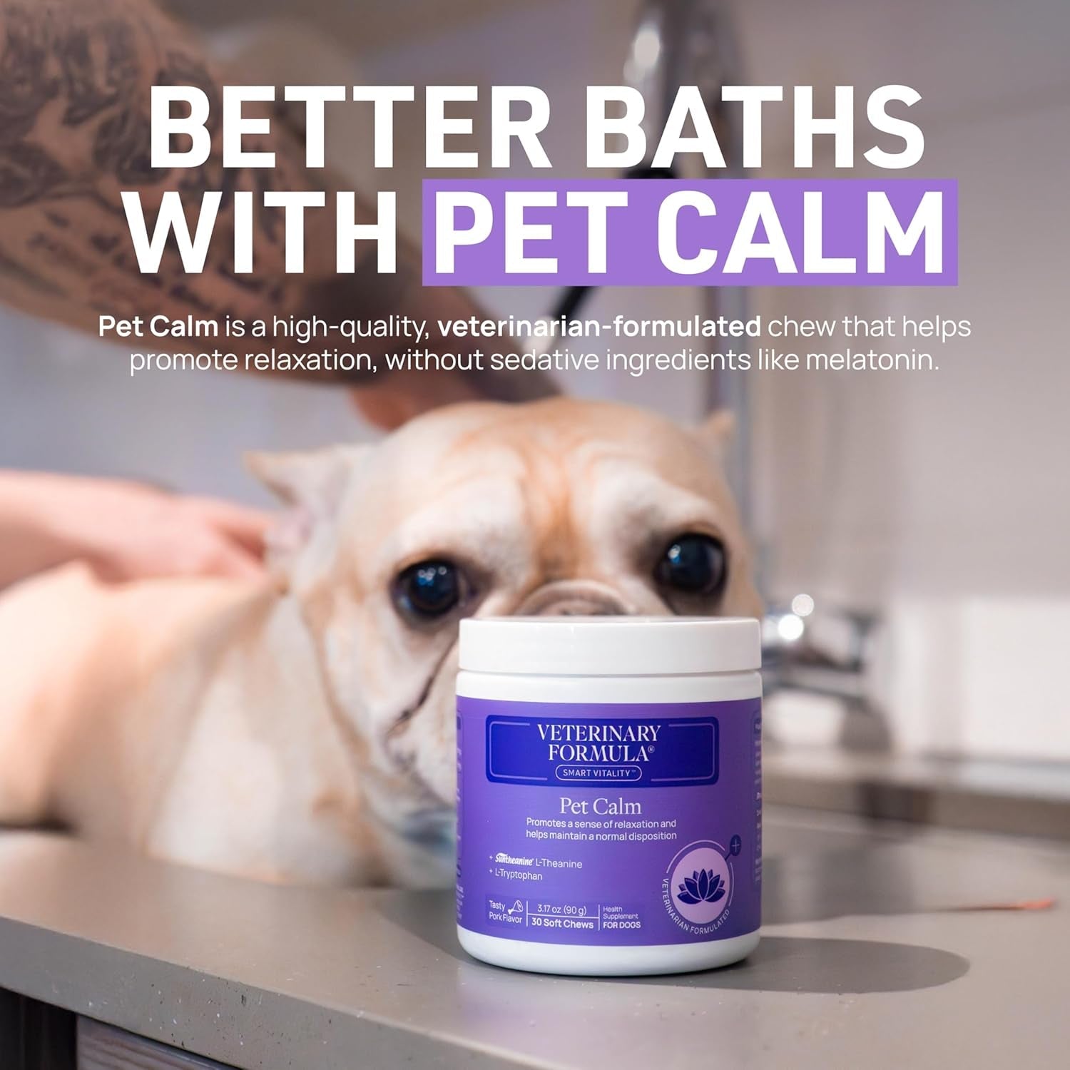 Clinical Care Antiseptic and Antifungal Medicated Shampoo for Dogs & Cats, 16 Fl Oz – Helps Alleviate Scaly, Greasy, Red Skin – Paraben, Dye, Soap - Free (1 Pack) - FurrrBabies & More! - 313055273276