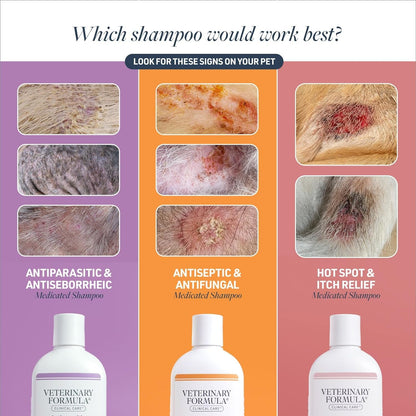 Clinical Care Antiseptic and Antifungal Medicated Shampoo for Dogs & Cats, 16 Fl Oz – Helps Alleviate Scaly, Greasy, Red Skin – Paraben, Dye, Soap - Free (1 Pack) - FurrrBabies & More! - 313055273276