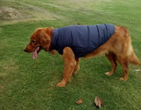 Cozycanine Waterproof Pet Jacket: Stylish Outdoor Attire For Your Furry Friend - FurrrBabies & More! - Dog Clothing & Accessories