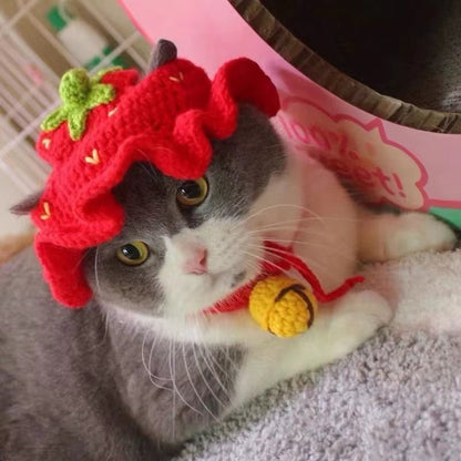 Cute Refined Cat Hat Elastic Autumn Winter Pet Hat Puppy Kittens Knitted Hat Party Photo Shoot Props Decoration Cat Accessories - FurrrBabies & More! - 313027882857