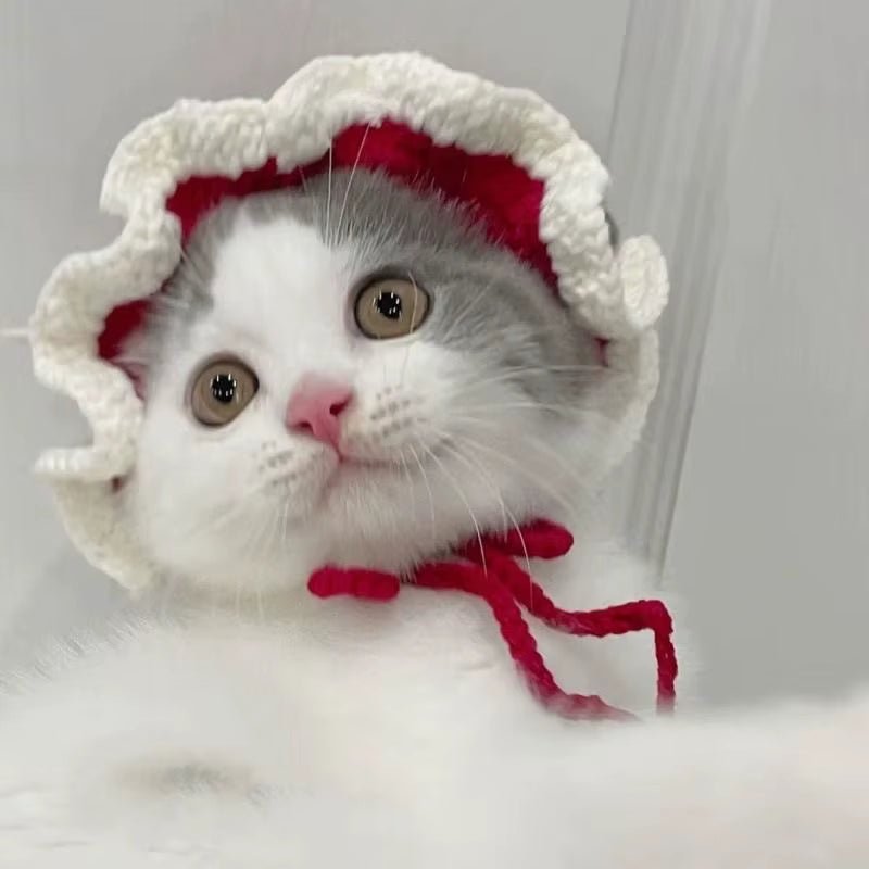 Cute Refined Cat Hat Elastic Autumn Winter Pet Hat Puppy Kittens Knitted Hat Party Photo Shoot Props Decoration Cat Accessories - FurrrBabies & More! - 7445015899875