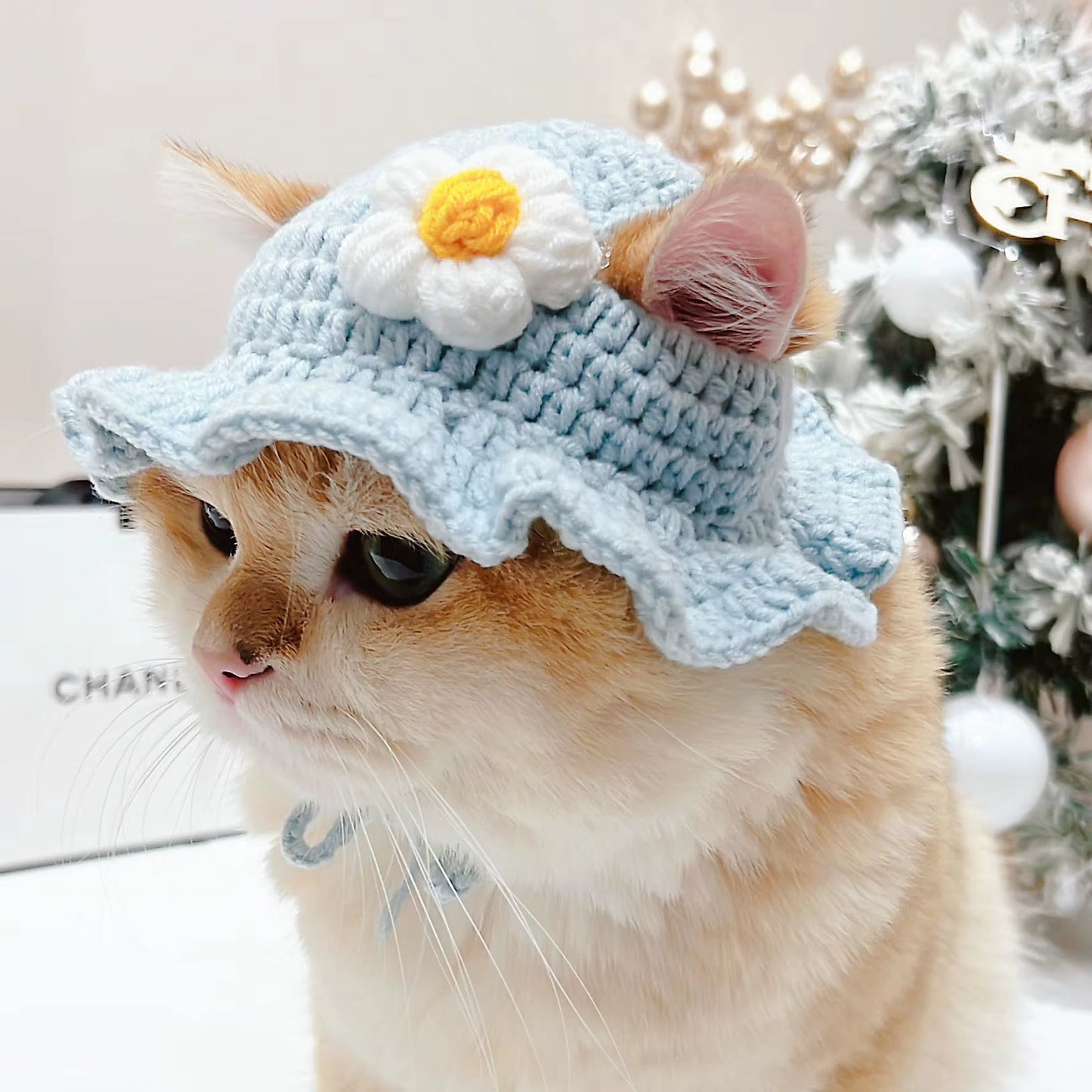 Cute Refined Cat Hat Elastic Autumn Winter Pet Hat Puppy Kittens Knitted Hat Party Photo Shoot Props Decoration Cat Accessories - FurrrBabies & More! - 313095333343