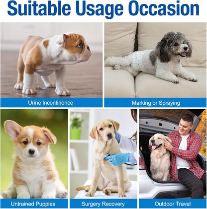 Disposable Male Dog Wraps - Dog Diapers for Male Dogs, Puppy Diapers 12Pcs Small - FurrrBabies & More! - 711181067378
