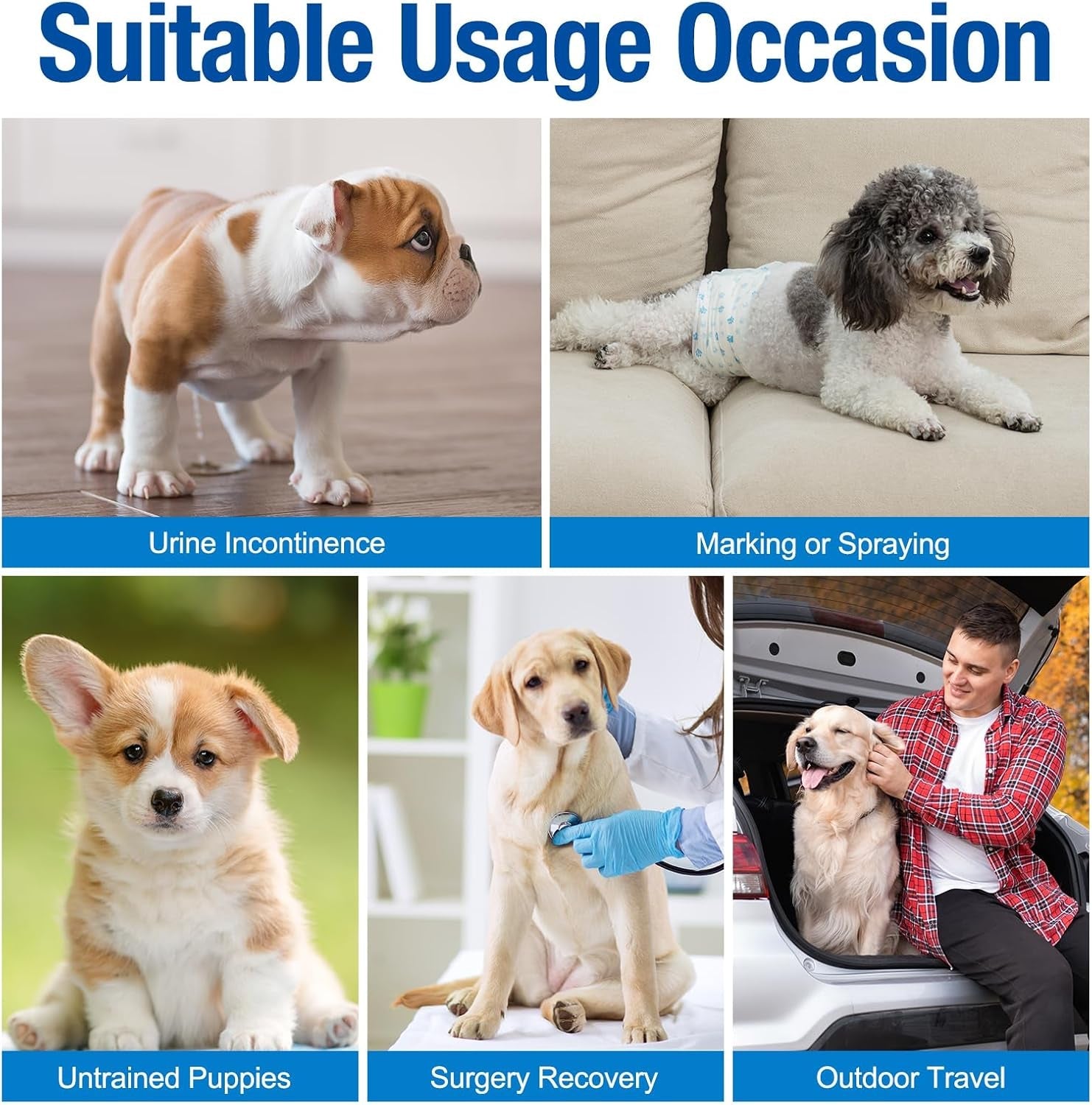 Disposable Male Wrap Dog Diaper,12Pcs,Xs - FurrrBabies & More! - 313028544532