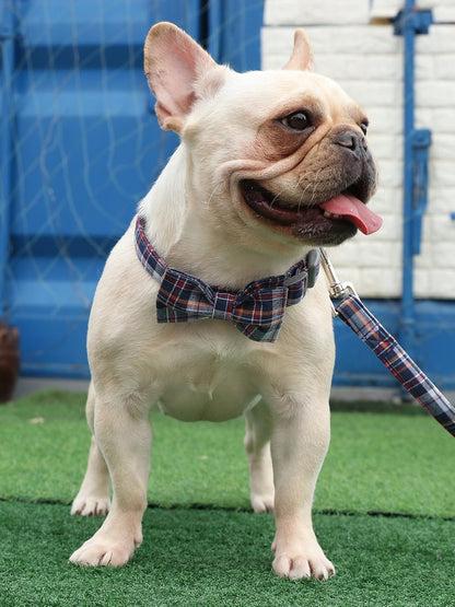 Dog and Cat Collar with Bowtie Grid Collar Plastic Buckle Light Adjustable Collars for Small Medium Large Dogs - FurrrBabies & More! - 313053767746