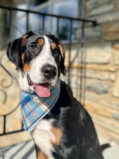 Dog Bandana for Small Medium Large Dogs, Cat Kerchief Blue Plaid, Triangle Bibs Scarf for Girl or Boy - FurrrBabies & More! - 313042194119