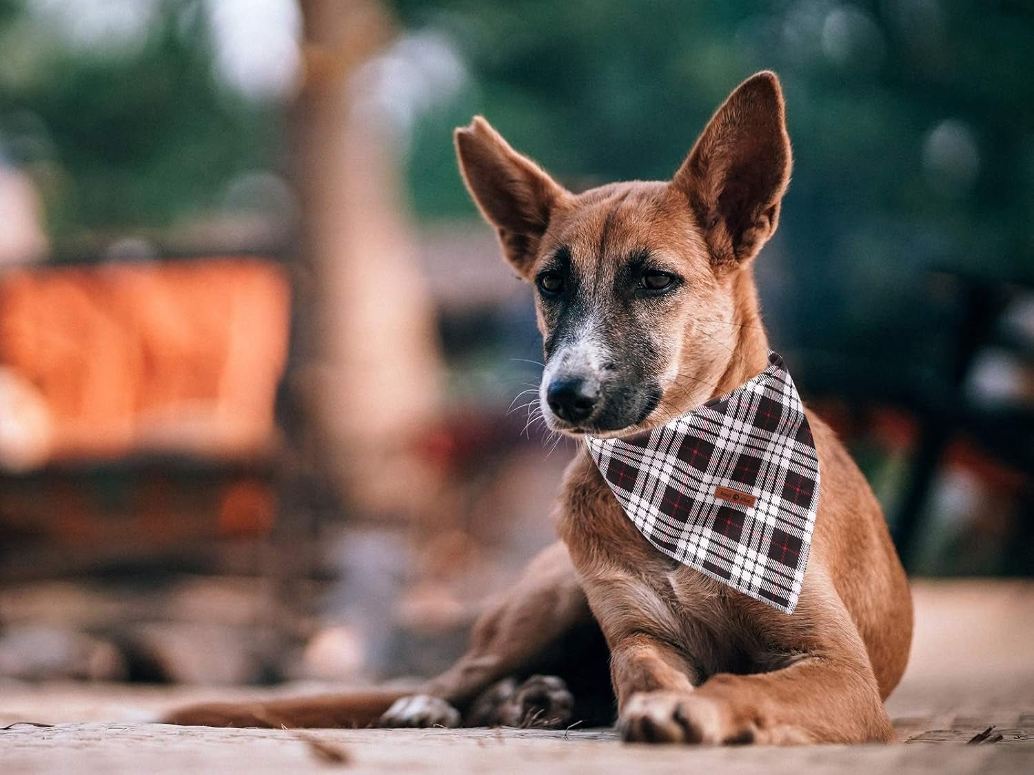 Dog Bandana Washable Cotton Handkerchief Scarf Triangle Bandana for Small Medium Large Dogs Black Grid - FurrrBabies & More! - 744759517333