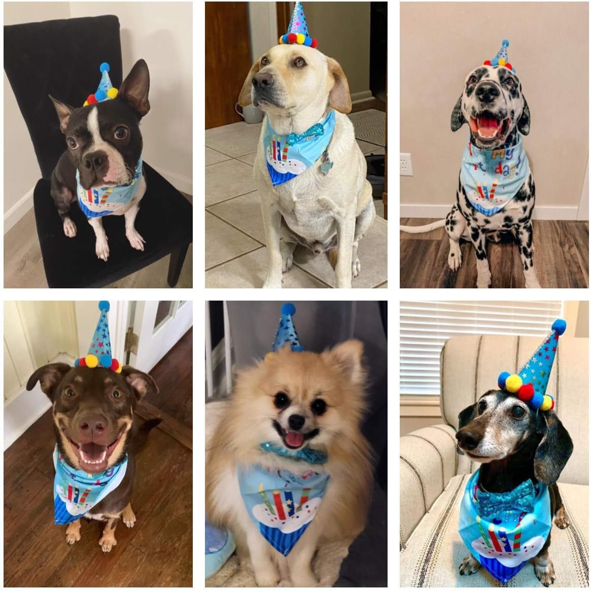 Dog Birthday Bandana Scarf and Blue Boy Pet Birthday Party Hat with Cute Bow Tie for Medium Large Dog Pet (Large) - FurrrBabies & More! - 744110072037