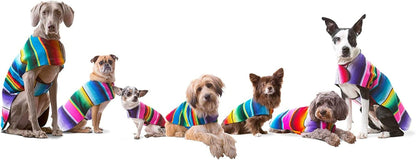 Dog Clothes - Handmade Dog Poncho from Authentic Mexican Blanket by (Blue, Small) - FurrrBabies & More! - 313096361307