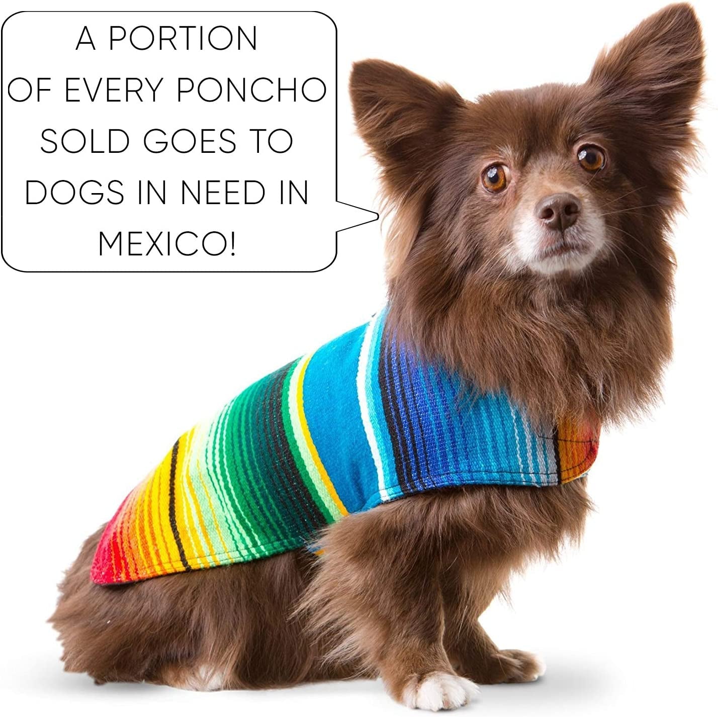 Dog Clothes - Handmade Dog Poncho from Authentic Mexican Blanket by (Blue, Small) - FurrrBabies & More! - 313096361307