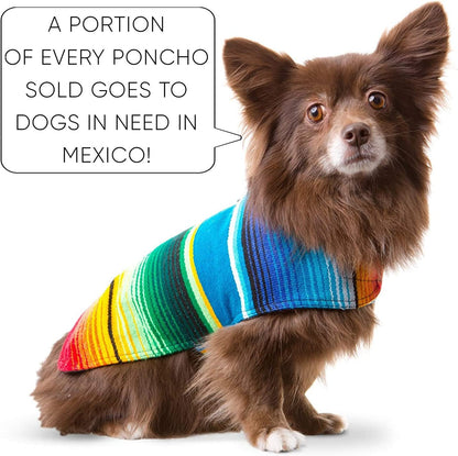 Dog Clothes - Handmade Dog Poncho from Authentic Mexican Blanket by (Blue, Small) - FurrrBabies & More! - 313096361307