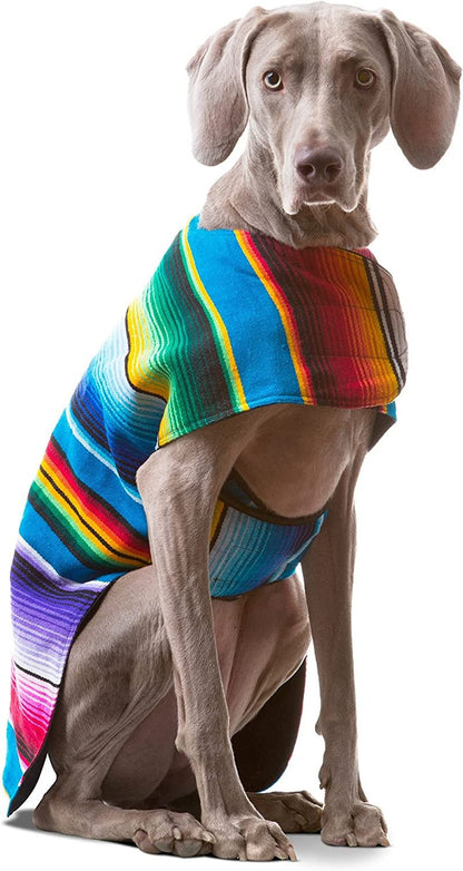 Dog Clothes - Handmade Dog Poncho from Authentic Mexican Blanket by (Blue, Small) - FurrrBabies & More! - 313096361307
