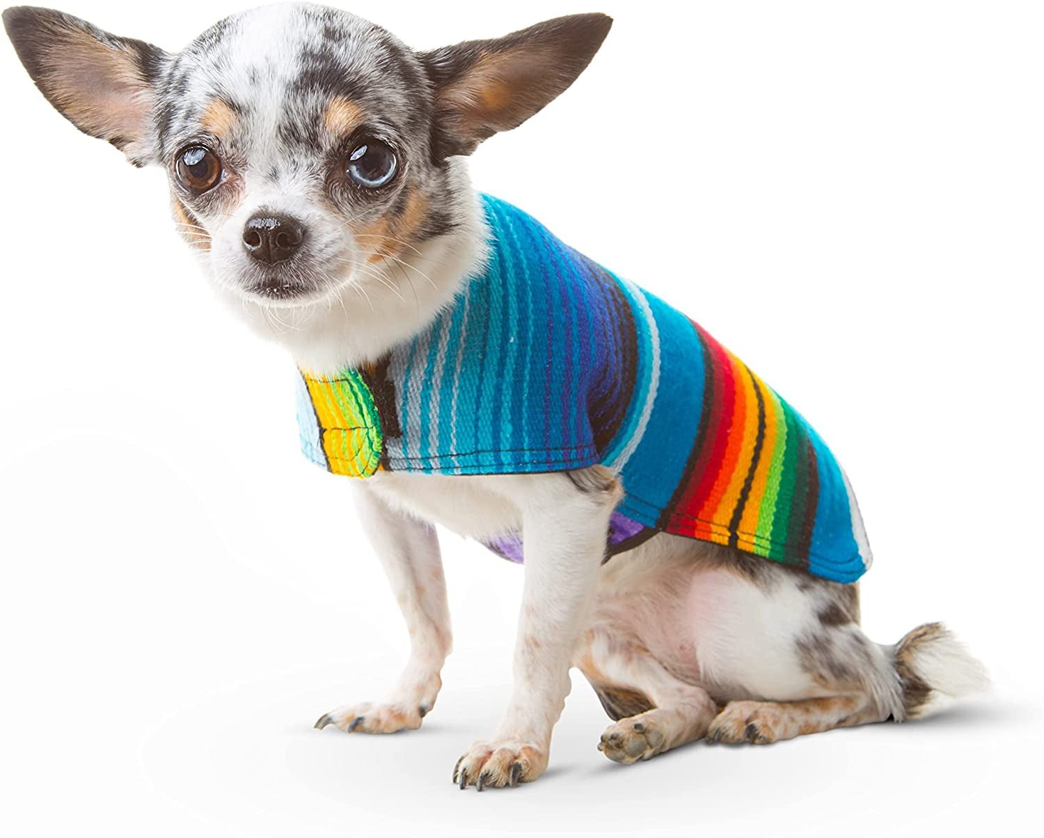 Dog Clothes - Handmade Dog Poncho from Authentic Mexican Blanket by (Blue, Small) - FurrrBabies & More! - 313096361307