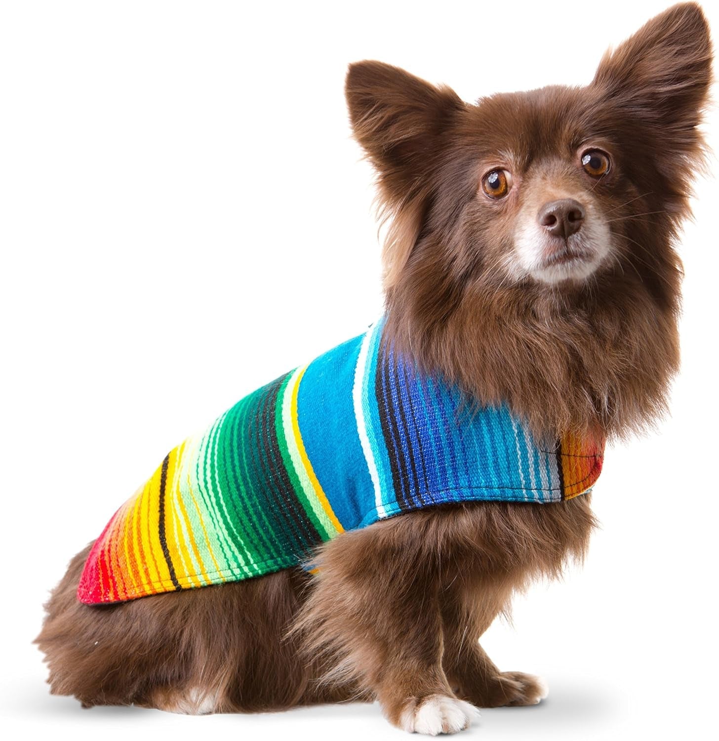 Dog Clothes - Handmade Dog Poncho from Authentic Mexican Blanket by (Blue, Small) - FurrrBabies & More! - 313096361307