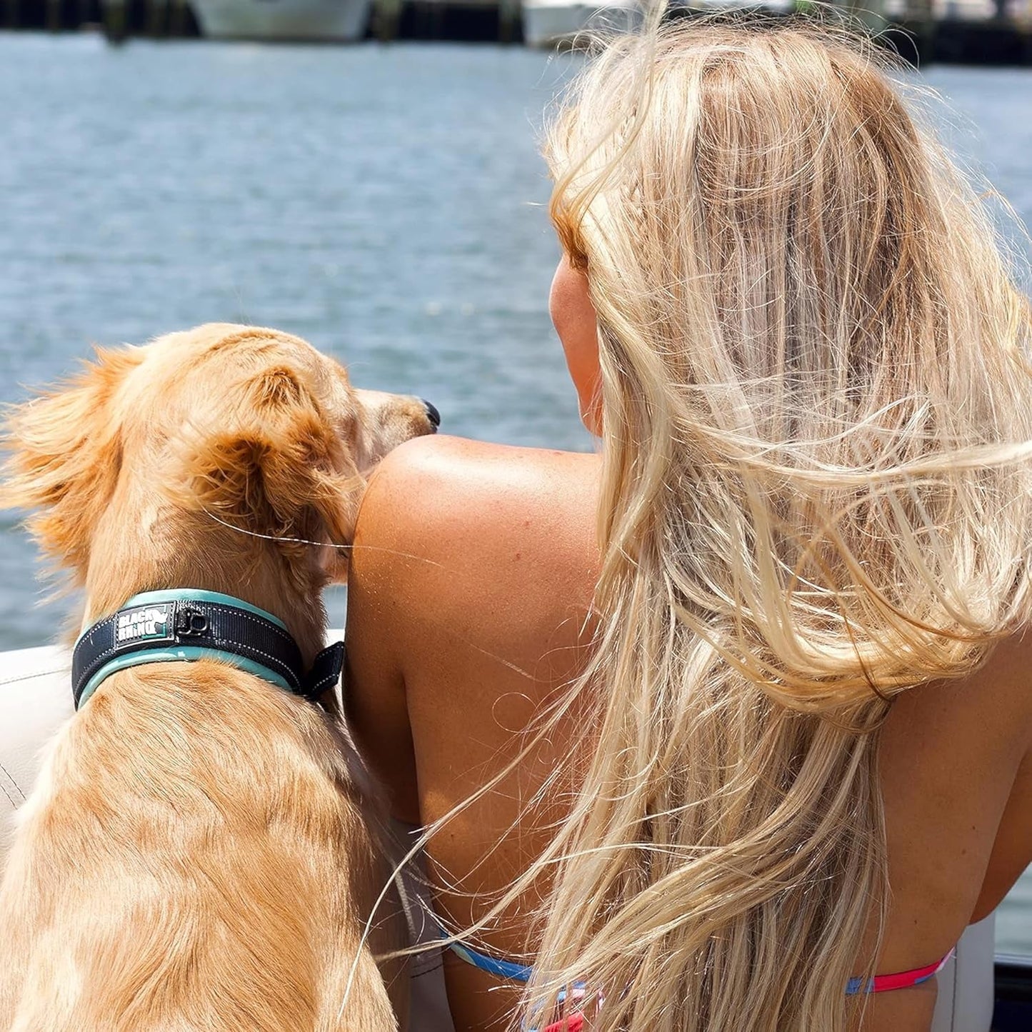 Dog Collars for Medium Dogs - Adjustable Reflective Heavy Duty Dog Collar with Ultra - Soft Neoprene Padding - Weatherproof, Durable, and Comfortable - Ideal for Active Dogs - Aqua and Gray - FurrrBabies & More! - 313111225270