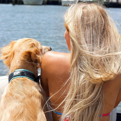 Dog Collars for Medium Dogs - Adjustable Reflective Heavy Duty Dog Collar with Ultra - Soft Neoprene Padding - Weatherproof, Durable, and Comfortable - Ideal for Active Dogs - Aqua and Gray - FurrrBabies & More! - 313111225270