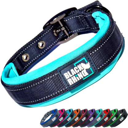 Dog Collars for Medium Dogs - Adjustable Reflective Heavy Duty Dog Collar with Ultra - Soft Neoprene Padding - Weatherproof, Durable, and Comfortable - Ideal for Active Dogs - Aqua and Gray - FurrrBabies & More! - 313111225270