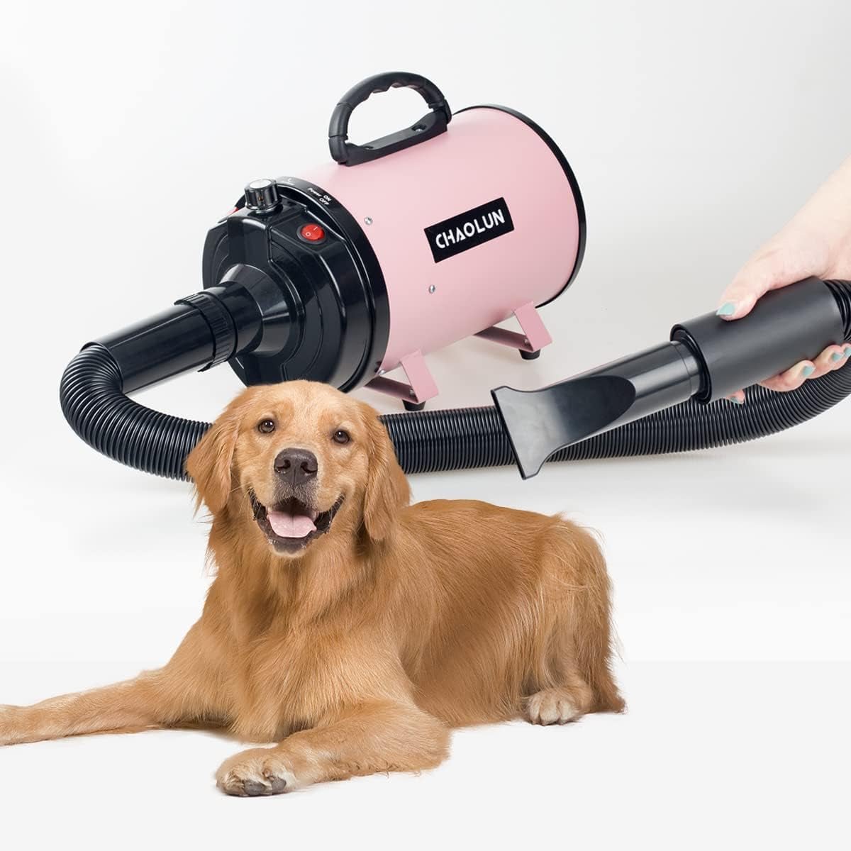 Dog Dryer for Pet Grooming, High Velocity Pet Hair Dryer with Heater, Adjustable Speed, 3 Nozzles and a Comb, Pink - FurrrBabies & More! - 313095449495