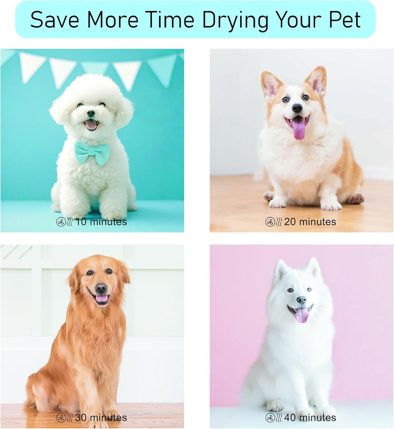 Dog Dryer for Pet Grooming, High Velocity Pet Hair Dryer with Heater, Adjustable Speed, 3 Nozzles and a Comb, Pink - FurrrBabies & More! - 313095449495