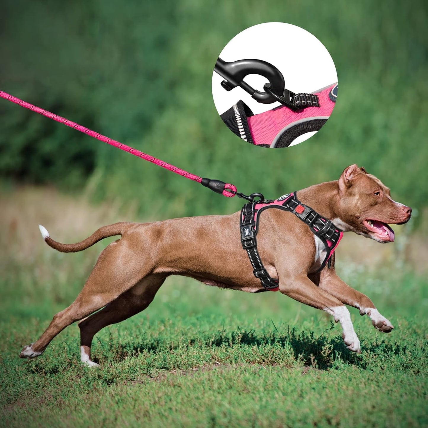 Dog Harness and Leash Combo, Escape Proof No Pull Vest Harness, with 5 Feet Leash, Reflective Adjustable Soft Padded Pet Harness with Handle for Small to Large Dogs(Pink,M) - FurrrBabies & More! - 744110177268