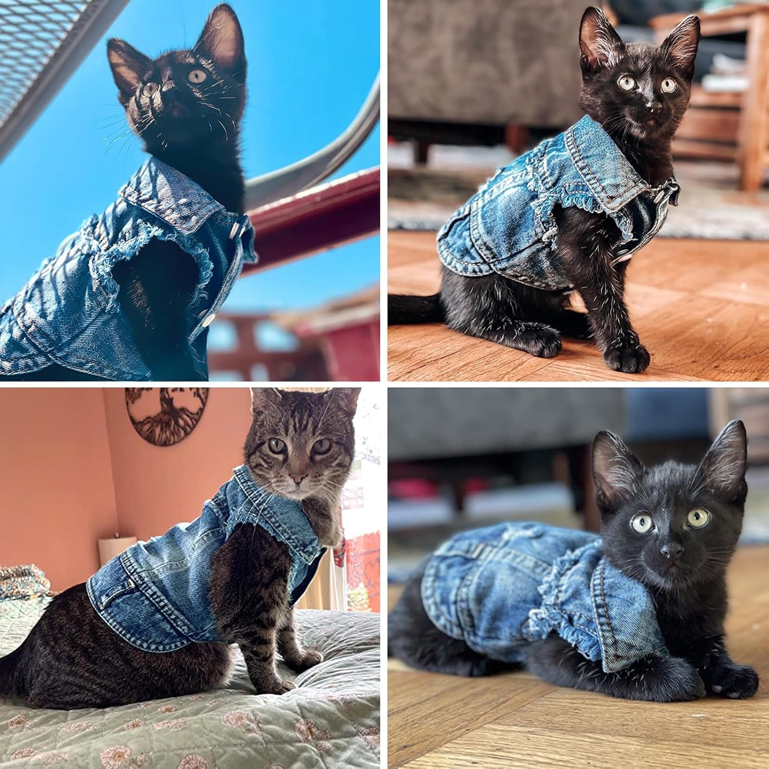 Dog Jean Jacket, Blue Denim Lapel Vest Coat T-Shirt Costume Girl Boy Puppy Clothes, Comfort and Cool Apparel for Small Medium Dogs Cats - FurrrBabies & More! - 313032730785