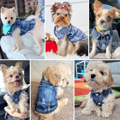 Dog Jean Jacket, Blue Denim Lapel Vest Coat T-Shirt Costume Girl Boy Puppy Clothes, Comfort and Cool Apparel for Small Medium Dogs Cats - FurrrBabies & More! - 313032730785
