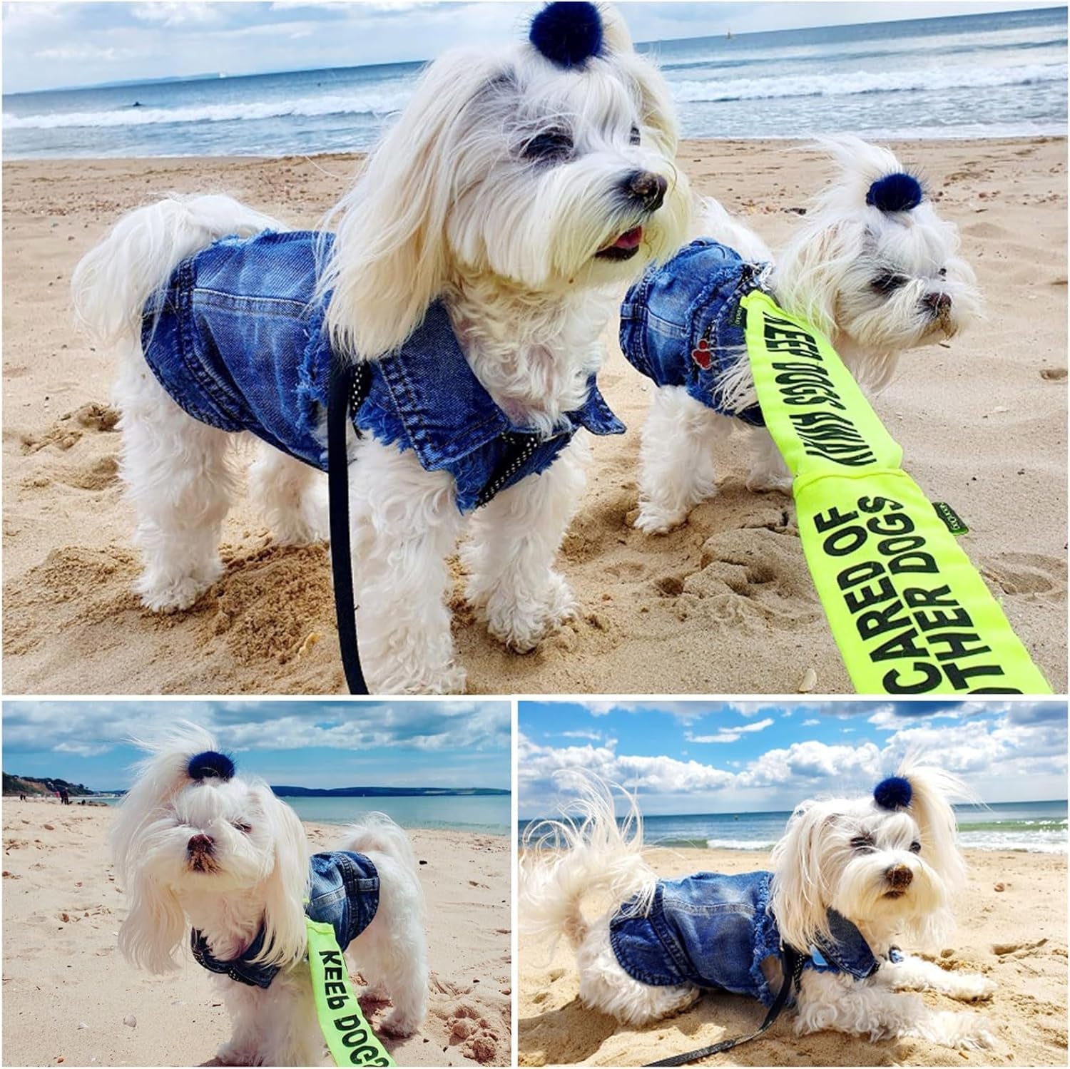 Dog Jean Jacket, Blue Denim Lapel Vest Coat T-Shirt Costume Girl Boy Puppy Clothes, Comfort and Cool Apparel for Small Medium Dogs Cats - FurrrBabies & More! - 313032730785