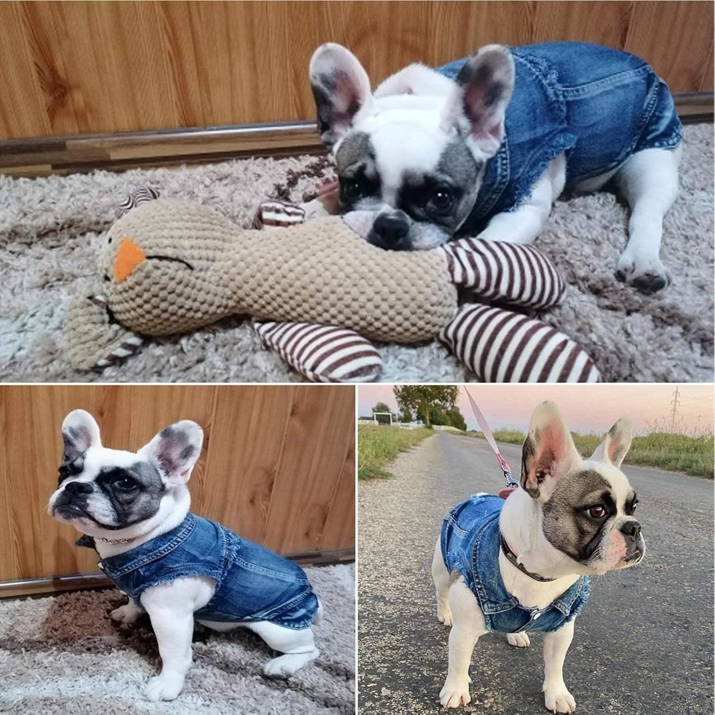 Dog Jean Jacket, Blue Denim Lapel Vest Coat T-Shirt Costume Girl Boy Puppy Clothes, Comfort and Cool Apparel for Small Medium Dogs Cats - FurrrBabies & More! - 313032730785