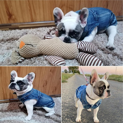 Dog Jean Jacket, Blue Denim Lapel Vest Coat T-Shirt Costume Girl Boy Puppy Clothes, Comfort and Cool Apparel for Small Medium Dogs Cats - FurrrBabies & More! - 313032730785