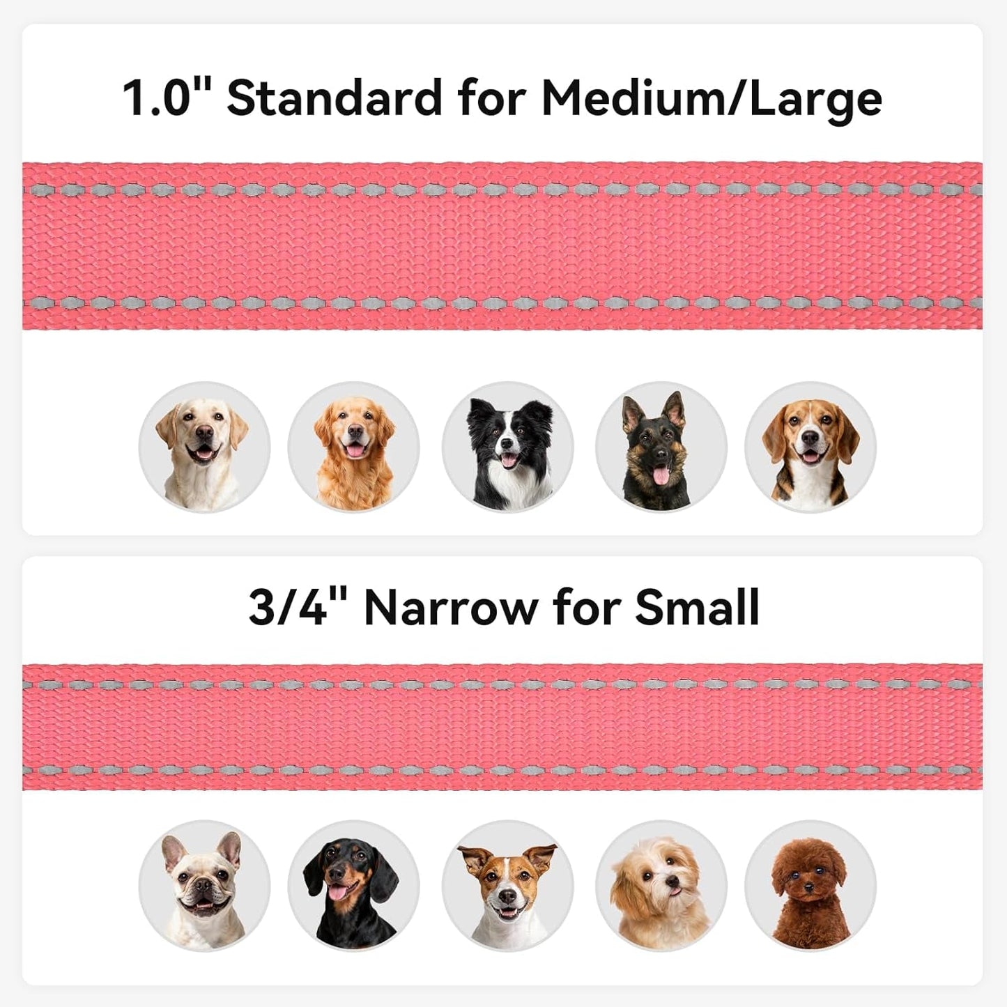 Dog Leash, 5 FT Double - Sided Reflective, Padded Handle Nylon Heavy Duty Leashes for Small Dogs Walking, Neon Pink - FurrrBabies & More! - 7445012299203