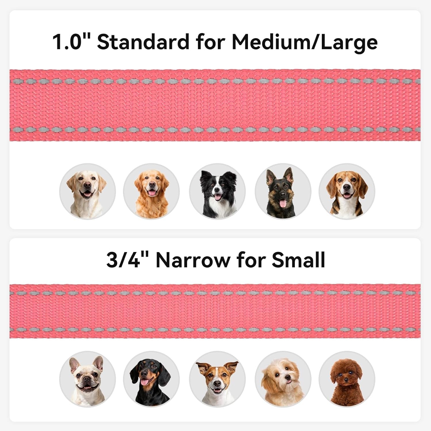 Dog Leash, 5 FT Double - Sided Reflective, Padded Handle Nylon Heavy Duty Leashes for Small Dogs Walking, Neon Pink - FurrrBabies & More! - 7445012299203