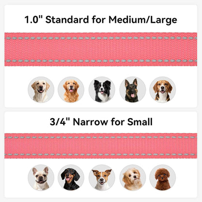 Dog Leash, 5 FT Double - Sided Reflective, Padded Handle Nylon Heavy Duty Leashes for Small Dogs Walking, Neon Pink - FurrrBabies & More! - 7445012299203