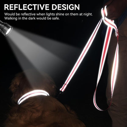 Dog Leash, 5 FT Double - Sided Reflective, Padded Handle Nylon Heavy Duty Leashes for Small Dogs Walking, Neon Pink - FurrrBabies & More! - 7445012299203