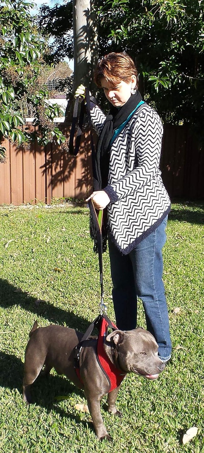 Dog Leash 6Ft Long,Traffic Padded Two Handle,Heavy Duty,Reflective Double Handles Lead for Control Safety Training,Leashes for Large Dogs or Medium Dogs,Dual Handles Leads(Black) - FurrrBabies & More! - 7445010179194