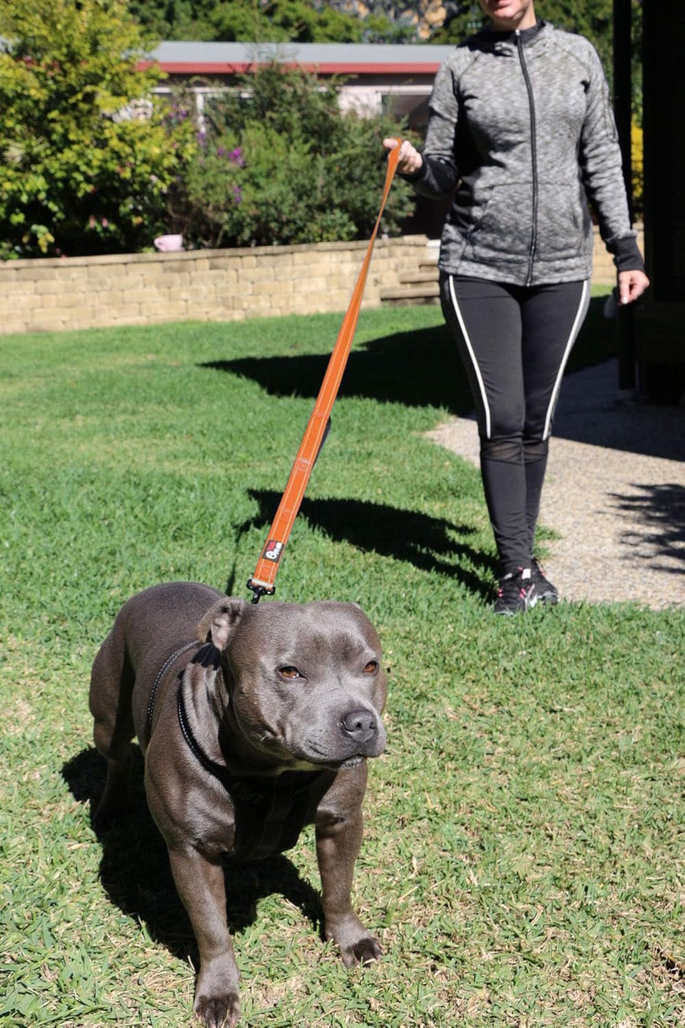Dog Leash 6Ft Long,Traffic Padded Two Handle,Heavy Duty,Reflective Double Handles Lead for Control Safety Training,Leashes for Large Dogs or Medium Dogs,Dual Handles Leads(Orange) - FurrrBabies & More! - 313023142108
