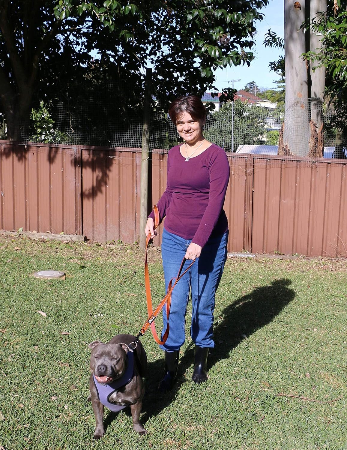 Dog Leash 6Ft Long,Traffic Padded Two Handle,Heavy Duty,Reflective Double Handles Lead for Control Safety Training,Leashes for Large Dogs or Medium Dogs,Dual Handles Leads(Orange) - FurrrBabies & More! - 313023142108