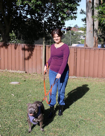 Dog Leash 6Ft Long,Traffic Padded Two Handle,Heavy Duty,Reflective Double Handles Lead for Control Safety Training,Leashes for Large Dogs or Medium Dogs,Dual Handles Leads(Orange) - FurrrBabies & More! - 313023142108