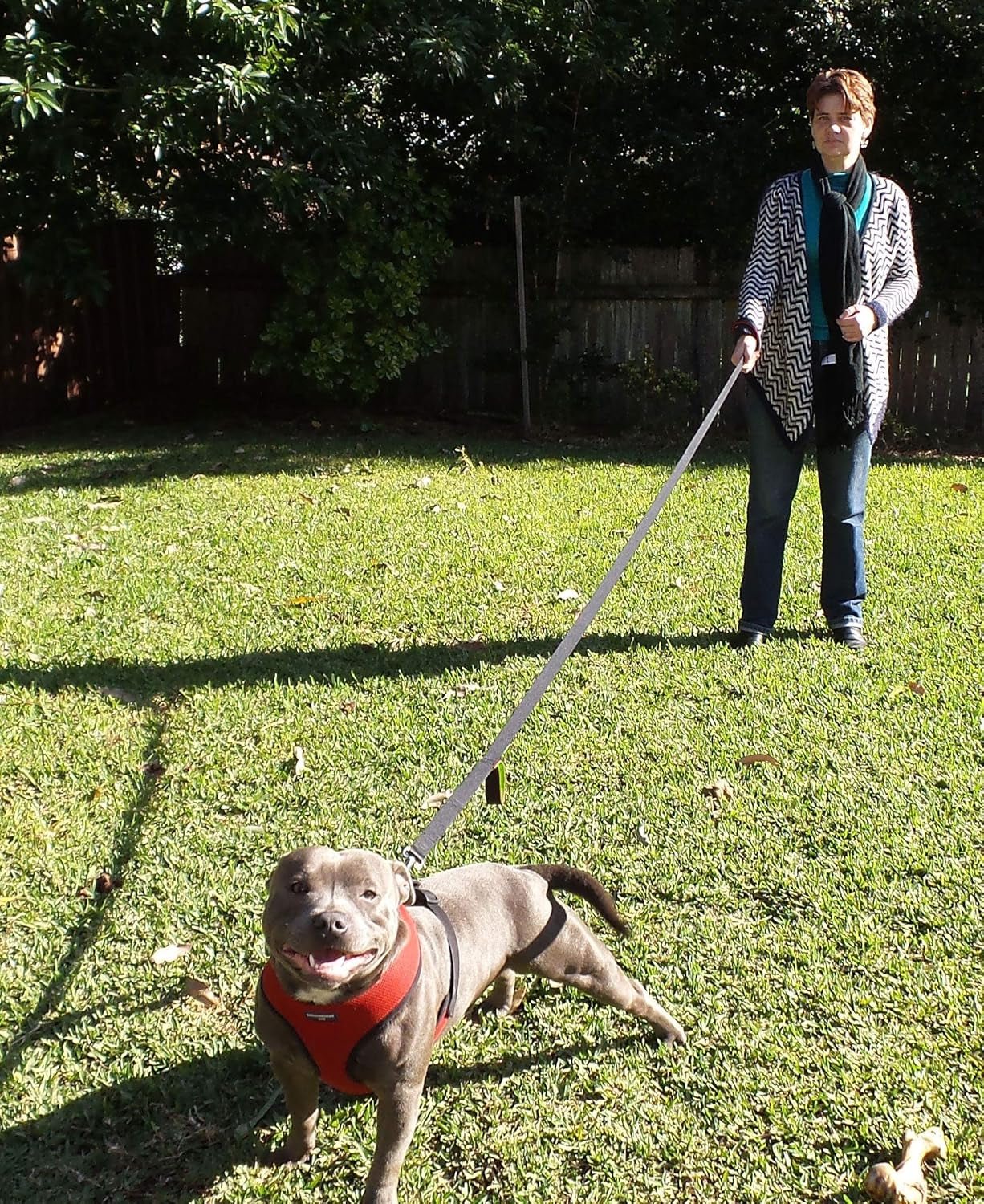 Dog Leash 6Ft Long,Traffic Padded Two Handle,Heavy Duty,Reflective Double Handles Lead for Control Safety Training,Leashes for Large Dogs or Medium Dogs,Dual Handles Leads(Black) - FurrrBabies & More! - 7445010179194